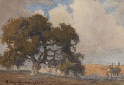 Oak Tree