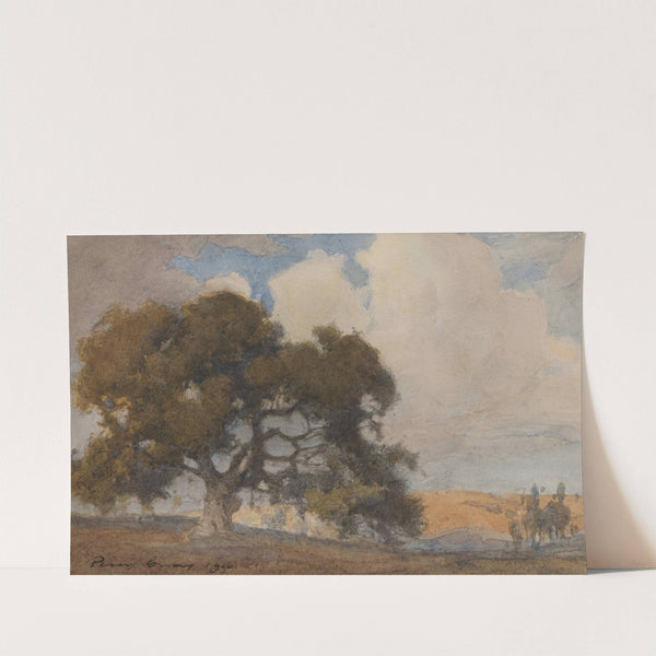 Oak Tree by Percy Gray