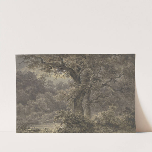 Oak trees in the forest by Johann Wilhelm Schirmer