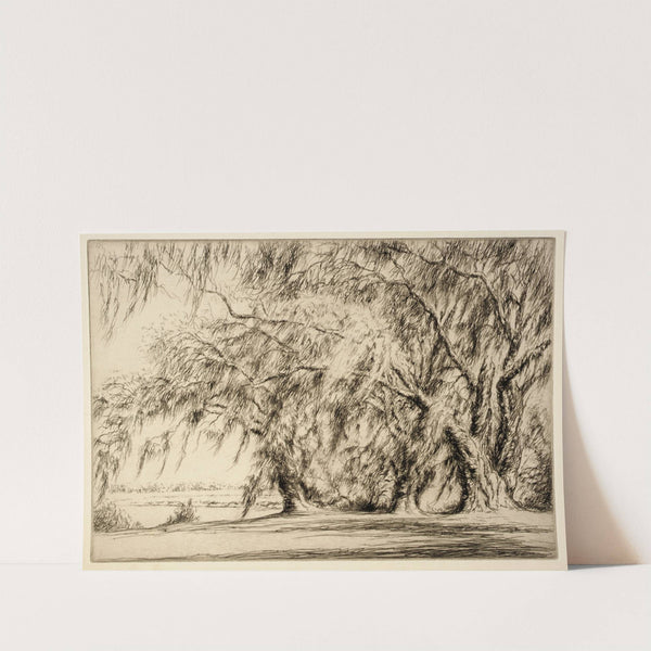 Oaks and Moss by Kerr Eby