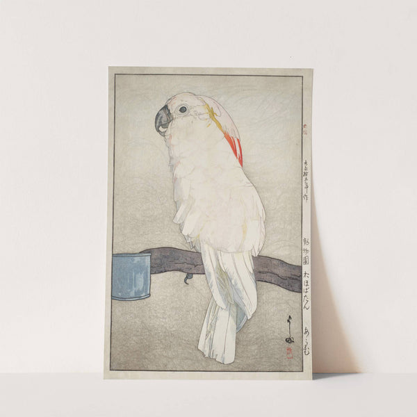 Obatan omu (Obatan parrot) (1926) by Yoshida Hiroshi