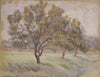 Obstbäume