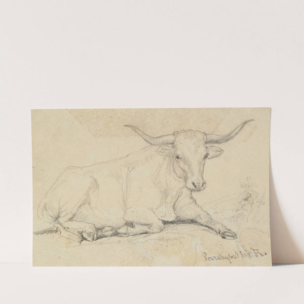 Ochsenstudie, liegend (1858) by Ferdinand Keller