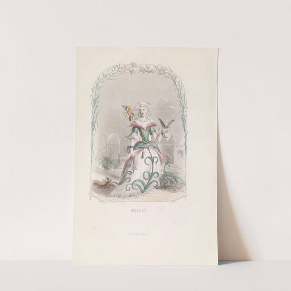 Œillet by J. J. Grandville