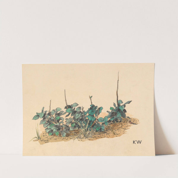 Ohne Titel (Grünpflanzen) by Karl Wiener