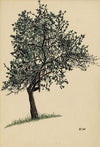 Ohne Titel (Laubbaum)
