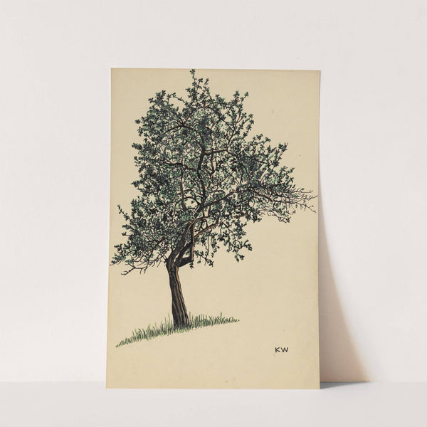 Ohne Titel (Laubbaum) by Karl Wiener