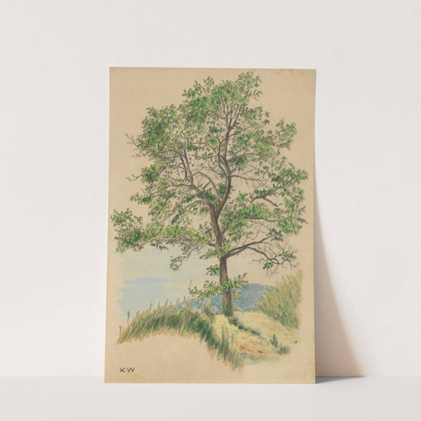 Ohne Titel (Laubbaum und Weg) by Karl Wiener