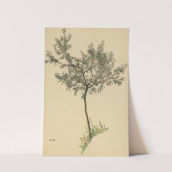 Ohne Titel (Obstbaum) by Karl Wiener