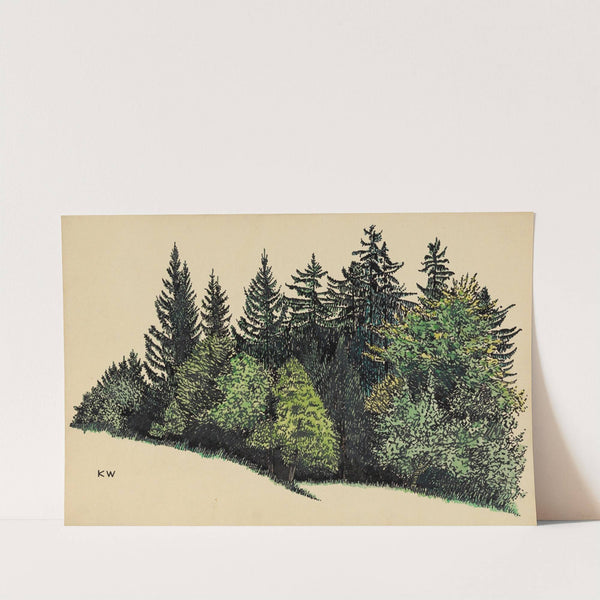 Ohne Titel (Waldstück) by Karl Wiener