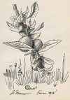 Ohne Titel (Zweig von einem Obstbaum)