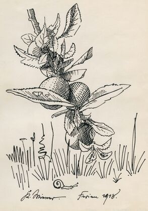 Ohne Titel (Zweig von einem Obstbaum)