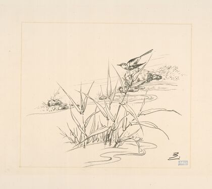 Oiseau sur une pierre, devant des roseaux. (1866 - 1878) — size preview
