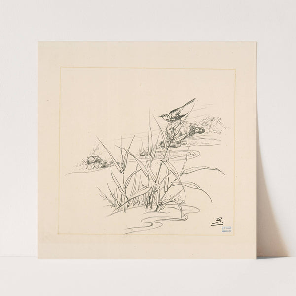 Oiseau sur une pierre, devant des roseaux. (1866 - 1878) by Félix Bracquemond