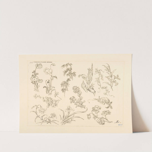 Oiseaux et fleurs japonais. (1866 - 1878) by Félix Bracquemond