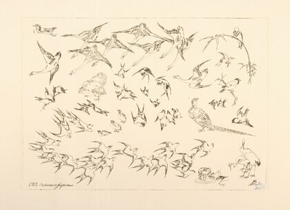 Oiseaux japonais. (1866 - 1878) — size preview