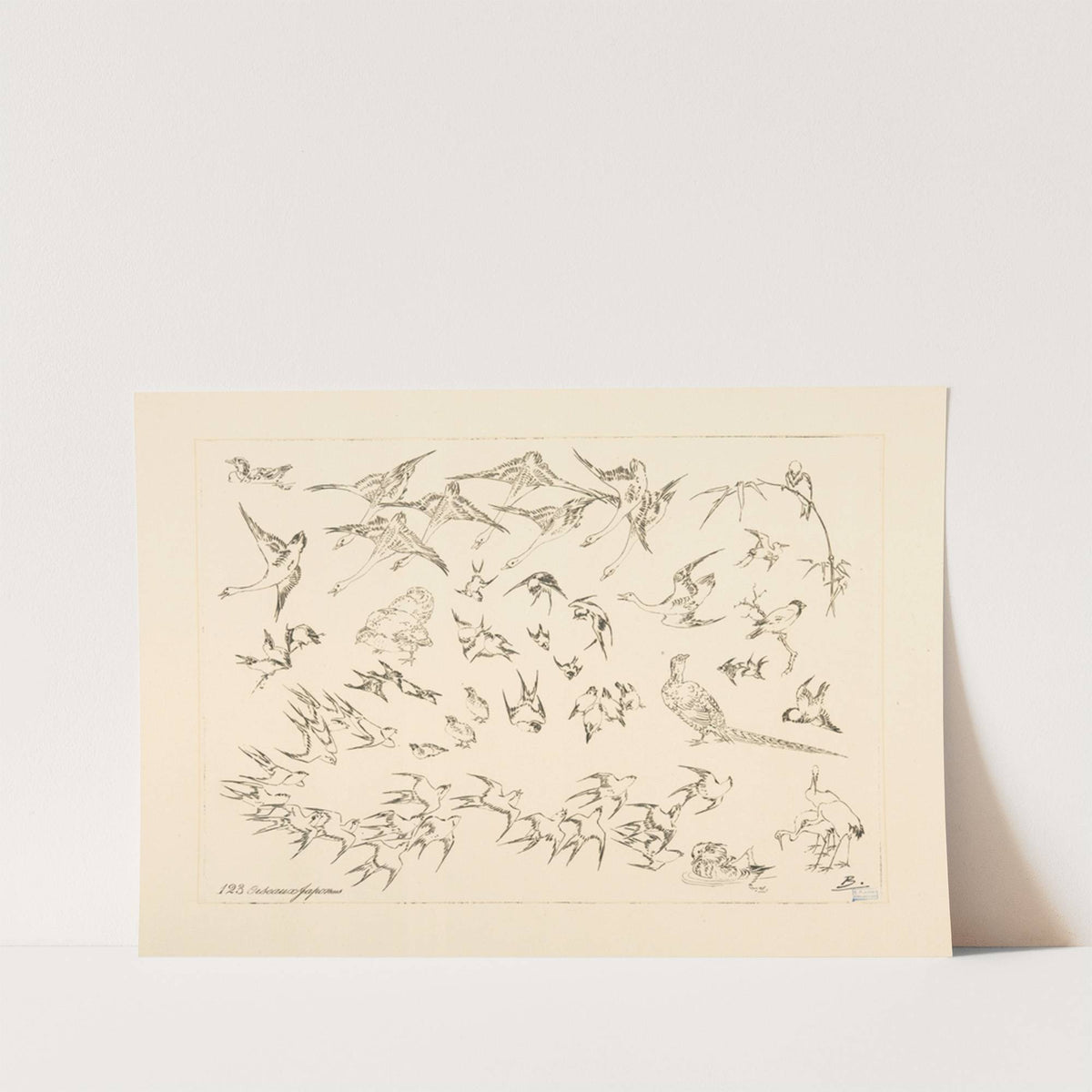 Oiseaux japonais. (1866 - 1878) by Félix Bracquemond