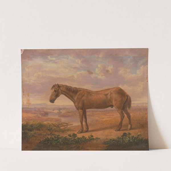 Old Billy, a Draught Horse, Aged 62 by Charles Towne