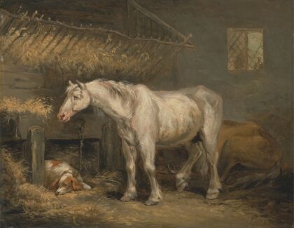 Old horses with a dog in a stable