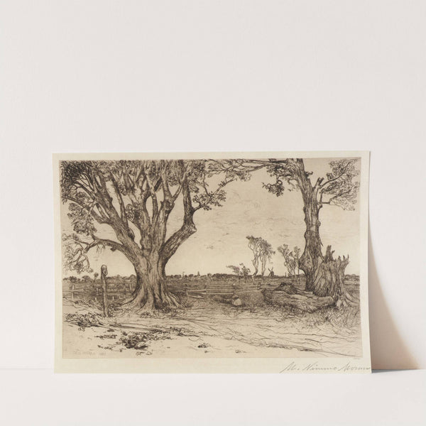 Old Lindens–Near Easthampton (1885) by Mary Nimmo Moran