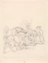 Old Lion Insulted