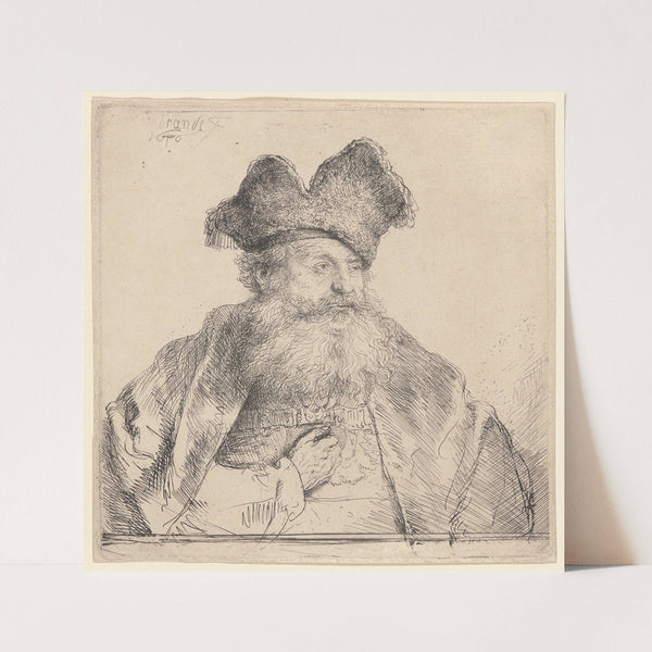 Old Man with a Divided Fur Cap by Rembrandt van Rijn