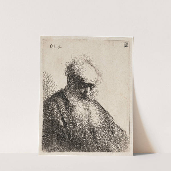 Old Man with a flowing Beard by Rembrandt van Rijn