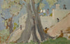 Old Olive Tree