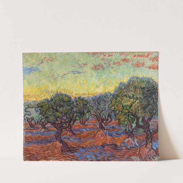 Olive Grove, Saint-Rémy (1889) by Vincent van Gogh