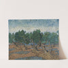 Olive grove by Vincent van Gogh