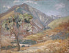 Olive in the Corsican Mountains