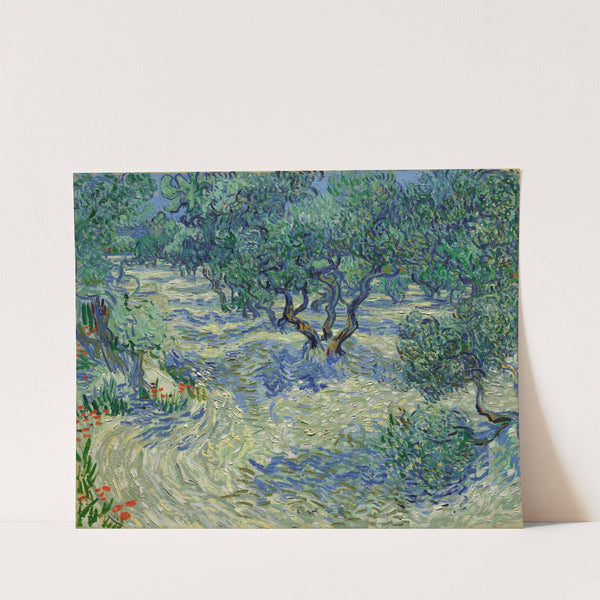 Olive Orchard by Vincent van Gogh