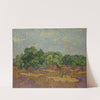 Olive Trees (1889) by Vincent van Gogh