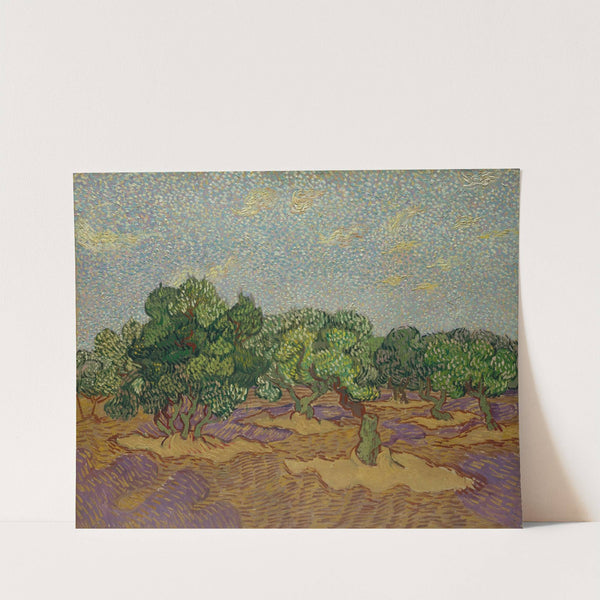 Olive Trees (1889) by Vincent van Gogh