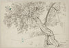 Olive Trees in Tivoli (1880)