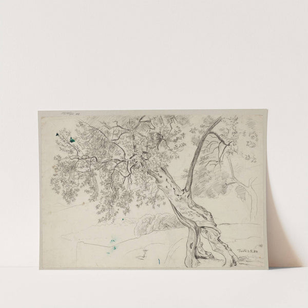 Olive Trees in Tivoli (1880) by Hans Thoma