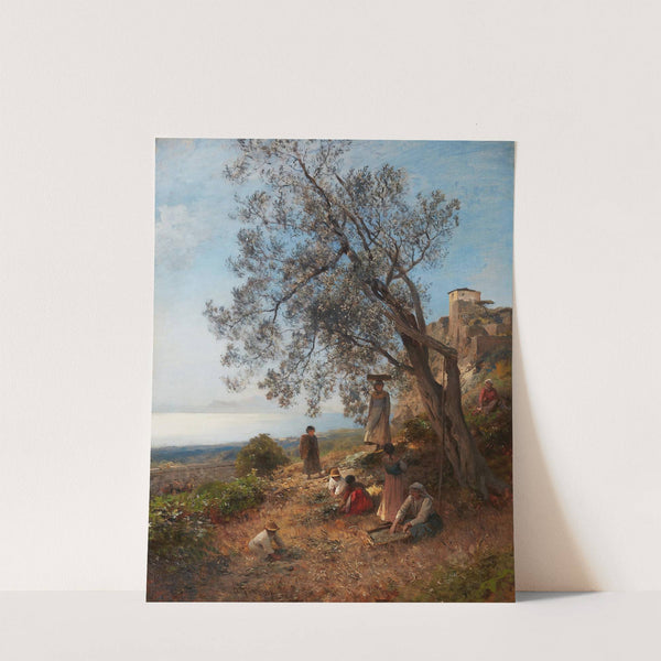 Olivenernte by Albert Flamm