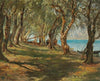 Olivenhain am Gardasee