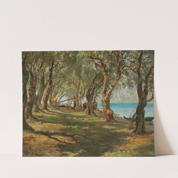 Olivenhain am Gardasee by Carlo Brioschi