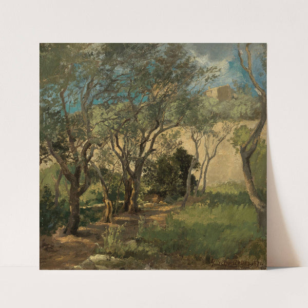 Olivenhain bei Genua (1871) by Gustav Schönleber