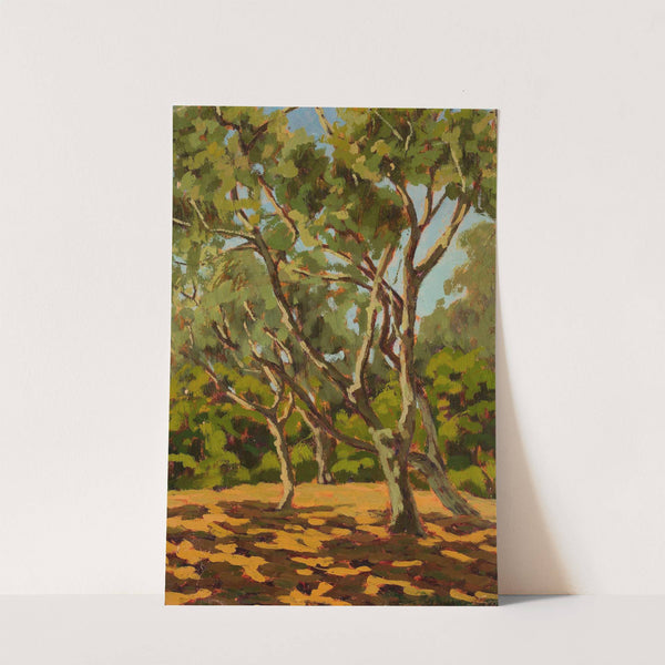 Olives and sunny glade by Jan Bohuszewicz