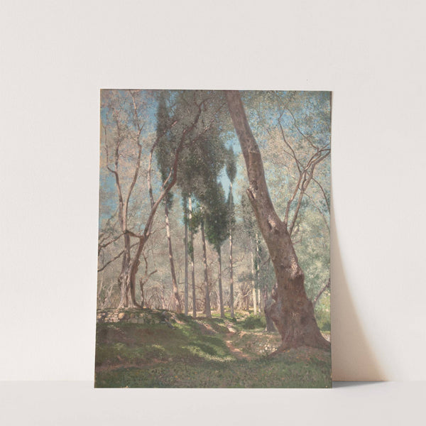 Oliviers à Menton by Henry Brokman