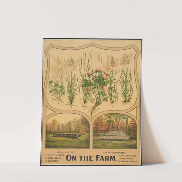 On the farm (1904) by Nature & Method Publ. Co.