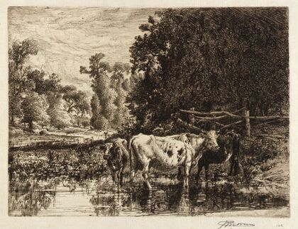 On the Neshaminy