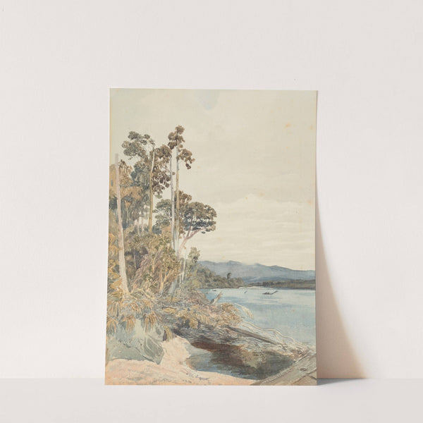 On the North East bank of the Buller by James Crowe Richmond