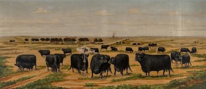On the Ranch