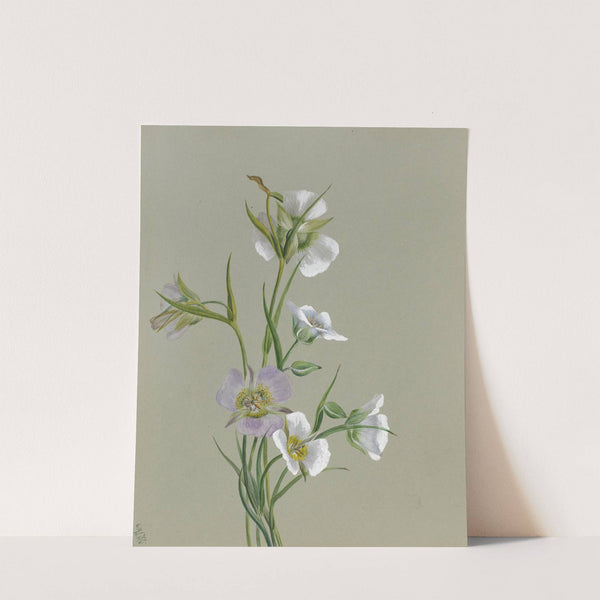 On the Road to Monument (1881) by Mary Vaux Walcott