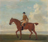 One of Four Portraits of Horses, a Chestnut Racehorse with Jockey Up- walking to the left; jockey i…