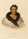 Ong Pa Ton Ga. Chief Of The Omahas