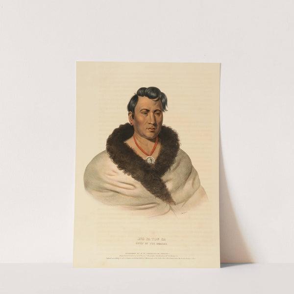 Ong Pa Ton Ga. Chief Of The Omahas (1838) by Charles Bird King